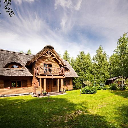 Bed and Breakfast Brzozowy Gaj à Glowczyce Extérieur photo