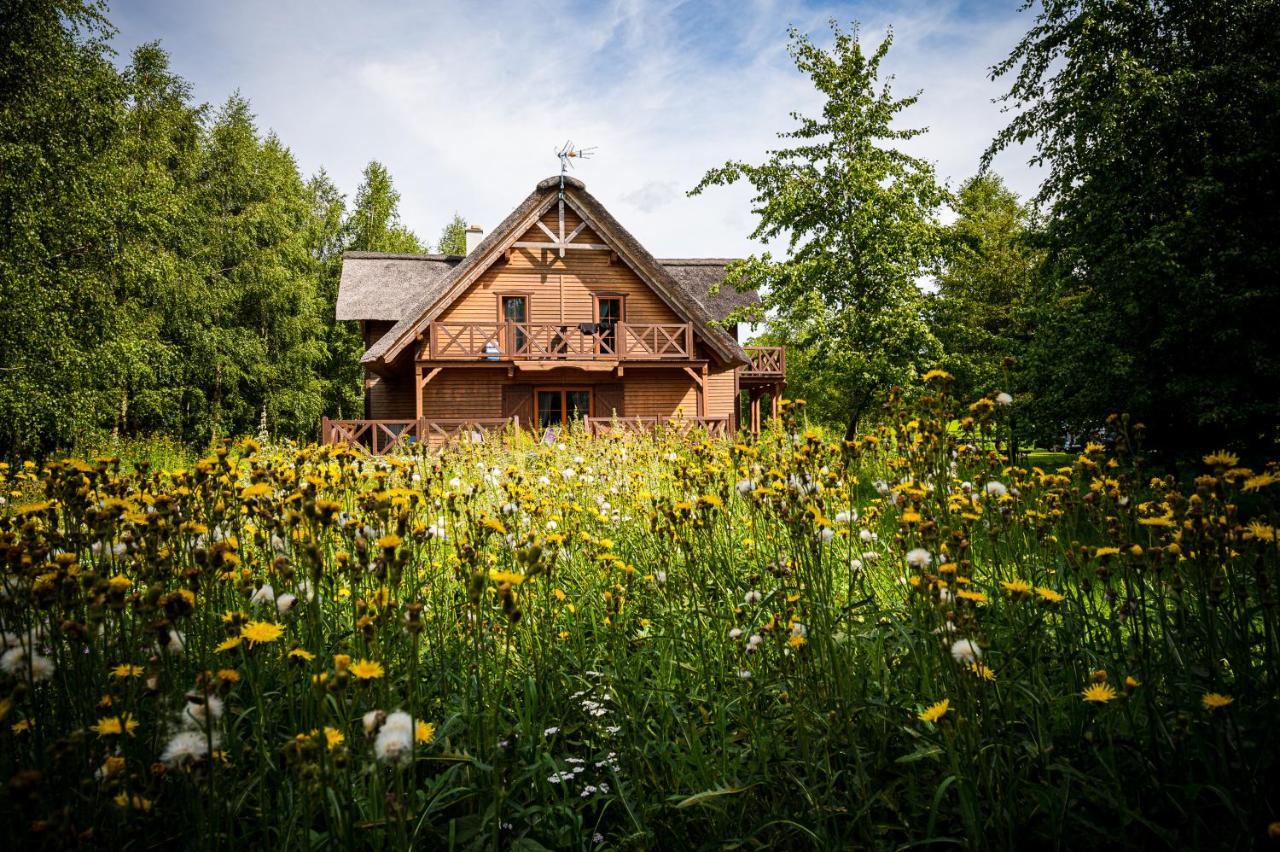 Bed and Breakfast Brzozowy Gaj à Glowczyce Extérieur photo