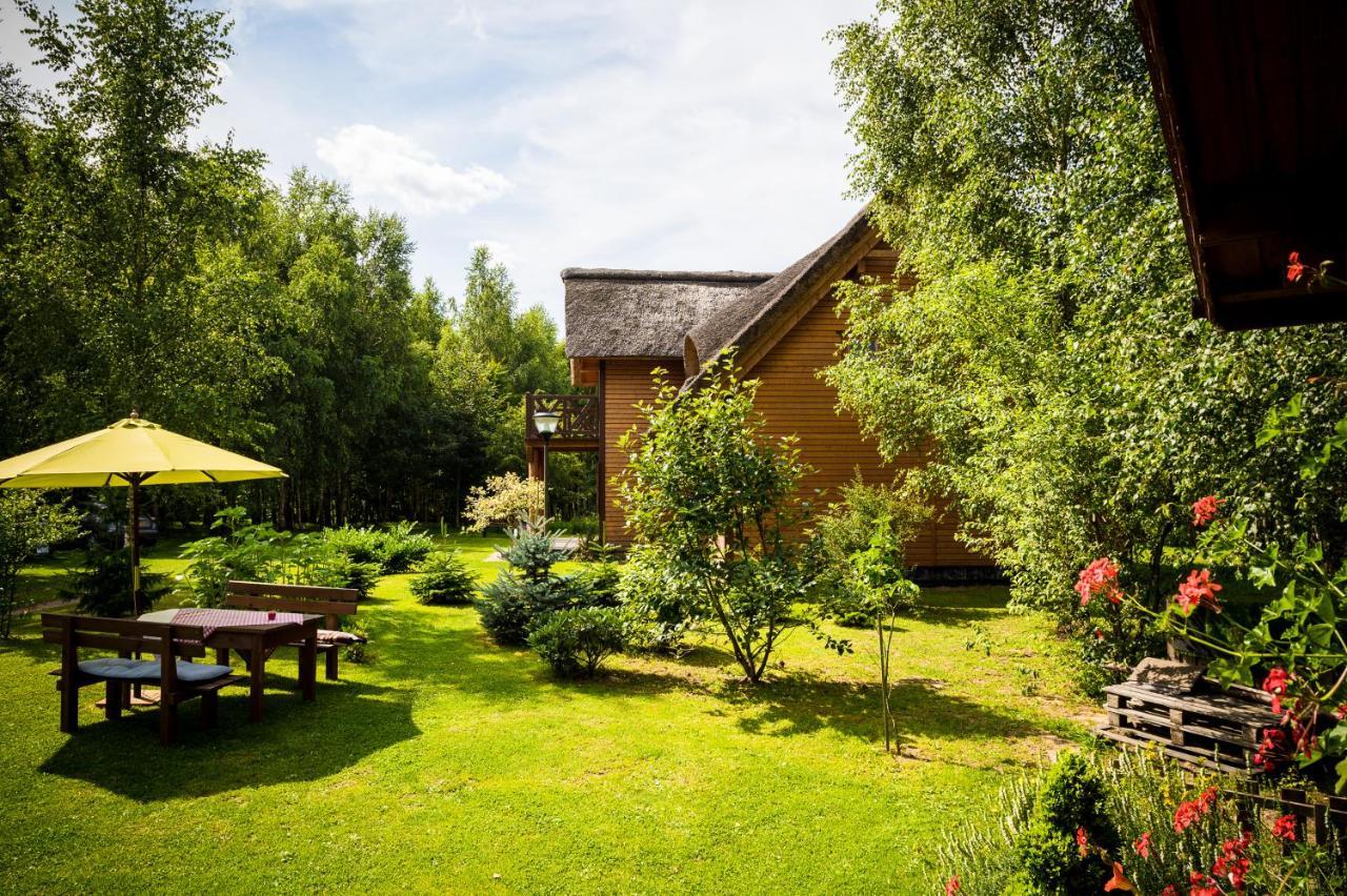 Bed and Breakfast Brzozowy Gaj à Glowczyce Extérieur photo